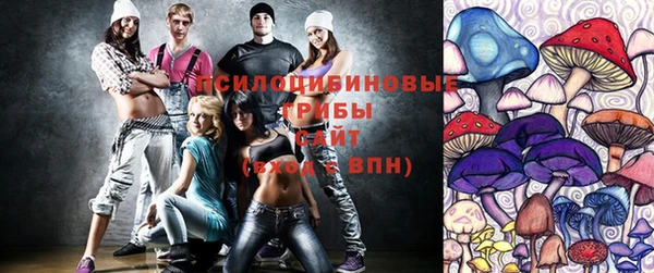 стаф Алексин