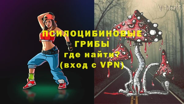 Альфа ПВП Алзамай
